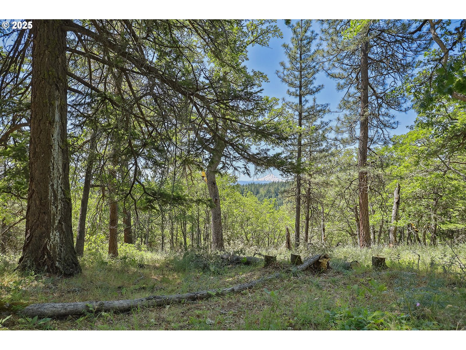 Knoll Ridge Road, Unit 11 Lyle, WA 98635 - Photo 3 of 18 a view of outdoor space with green field