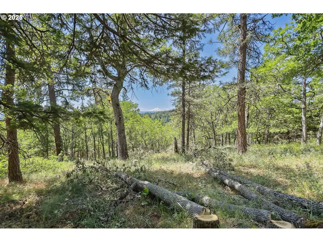 $110,000 | Knoll Ridge Road, Unit 11, Lyle, WA 98635