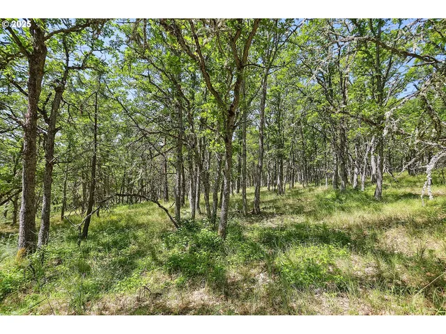 $110,000 | Knoll Ridge Road, Unit 11, Lyle, WA 98635