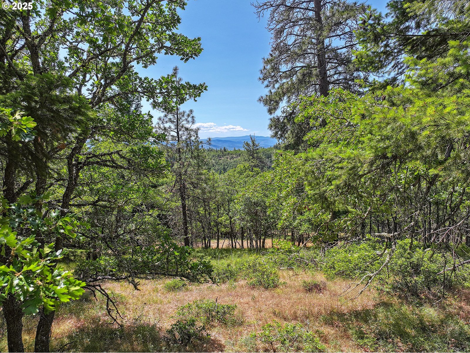 Knoll Ridge Road, Unit 11 Lyle, WA 98635 - Photo 7 of 18 a view of a yard