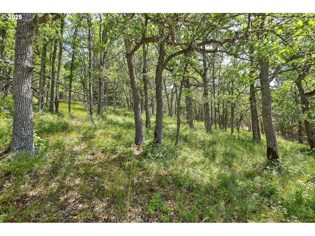 $110,000 | Knoll Ridge Road, Unit 11, Lyle, WA 98635