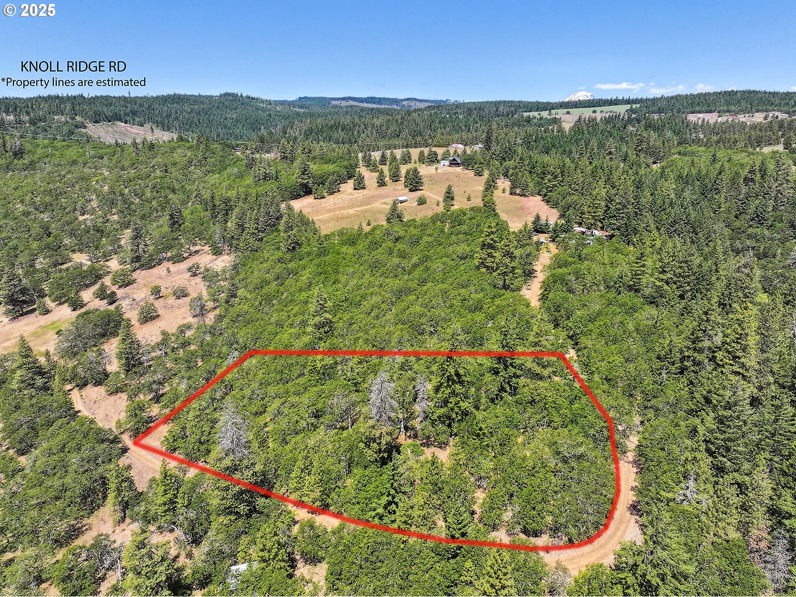 Knoll Ridge Road, Unit 11 Lyle, WA 98635 - Photo 10 of 18 a view of a lake with a mountain in the background