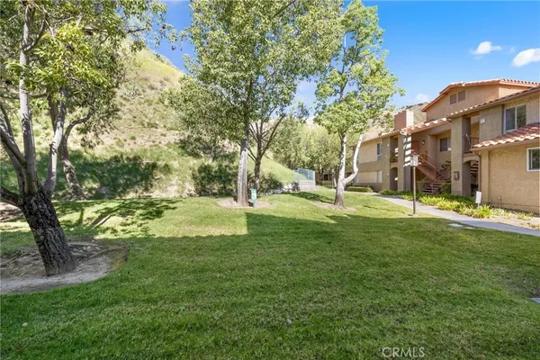 a view of a yard with a tree