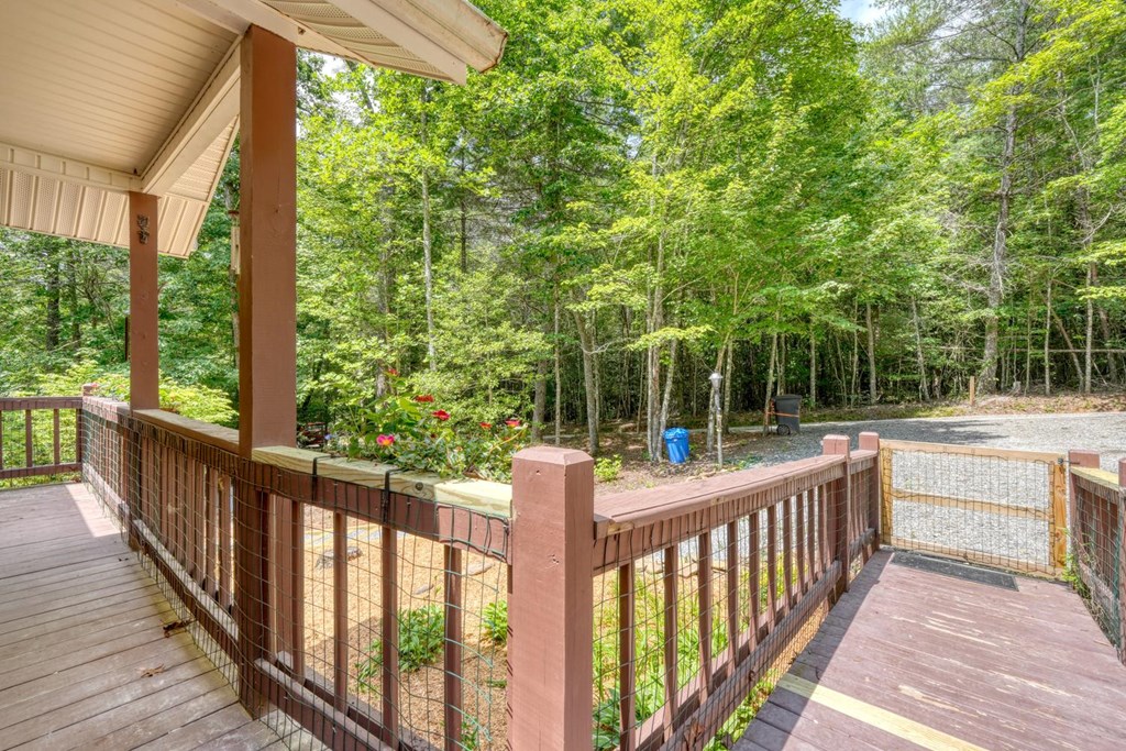 139 Dowd Road Morganton, GA 30560 - Photo 39 of 55