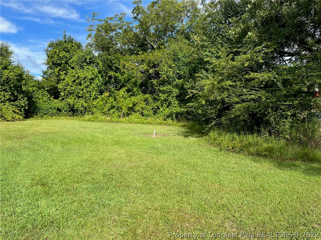 3012 Tramway Road Sanford, NC 27332 - Photo 3 of 3 Gallery Image 3