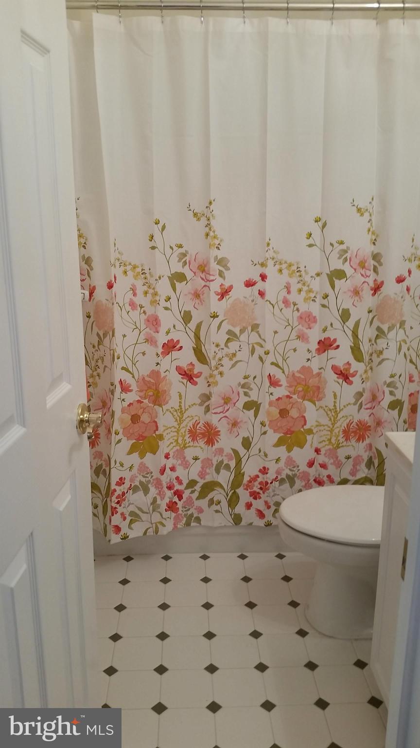 1528 Chapman Road Crofton, MD 21114 - Photo 5 of 29 Bath