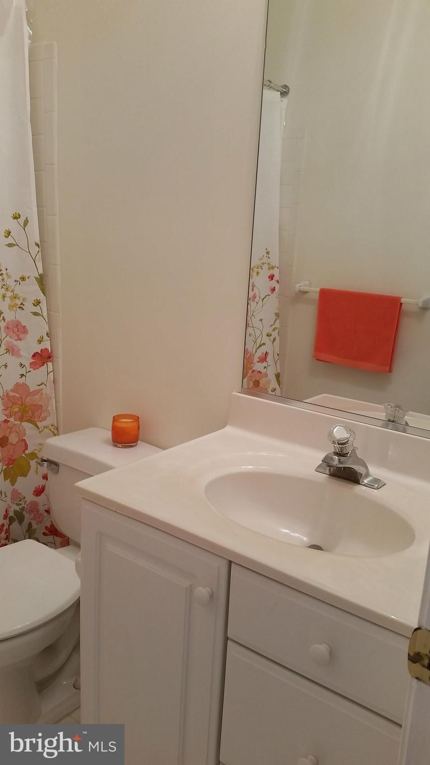 1528 Chapman Road Crofton, MD 21114 - Photo 6 of 29 Bath