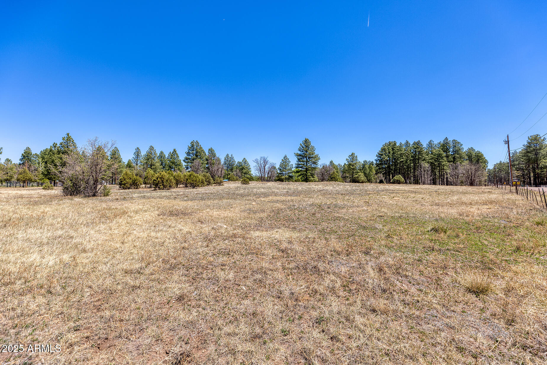Pinetop-lakeside Larson Road Lakeside, AZ 85929 - Photo 15 of 45 a view of a field with trees in the background