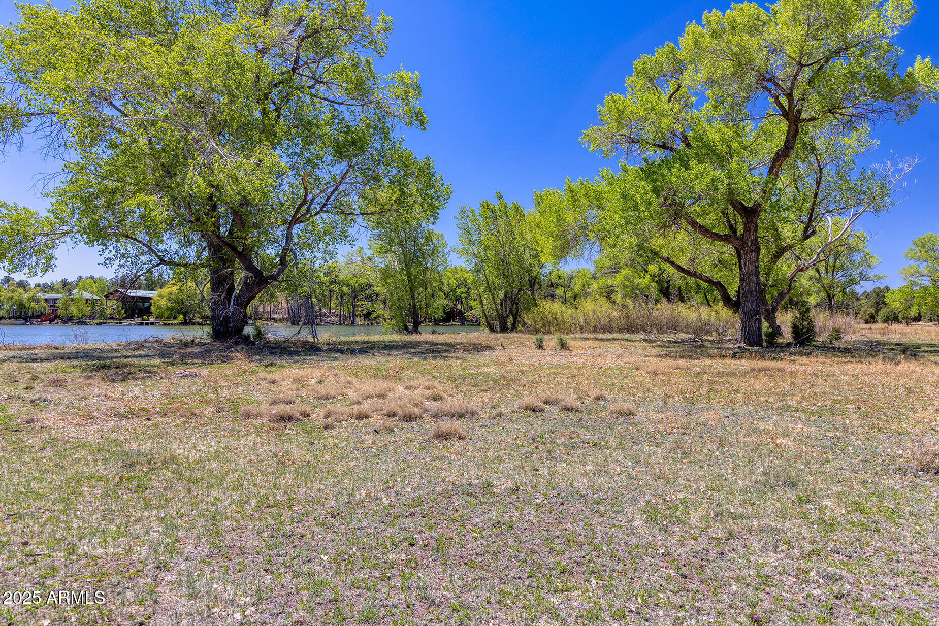 Pinetop-lakeside Larson Road Lakeside, AZ 85929 - Photo 21 of 45 a view of dirt yard with a tree