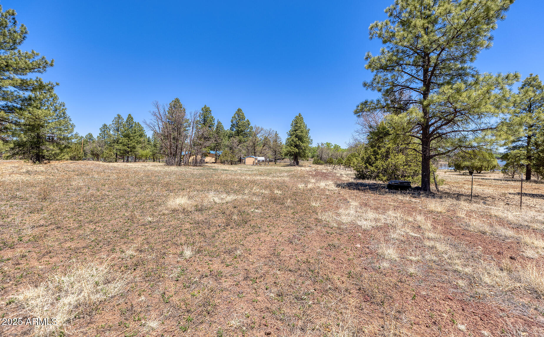 Pinetop-lakeside Larson Road Lakeside, AZ 85929 - Photo 23 of 45 a view of an outdoor space with trees