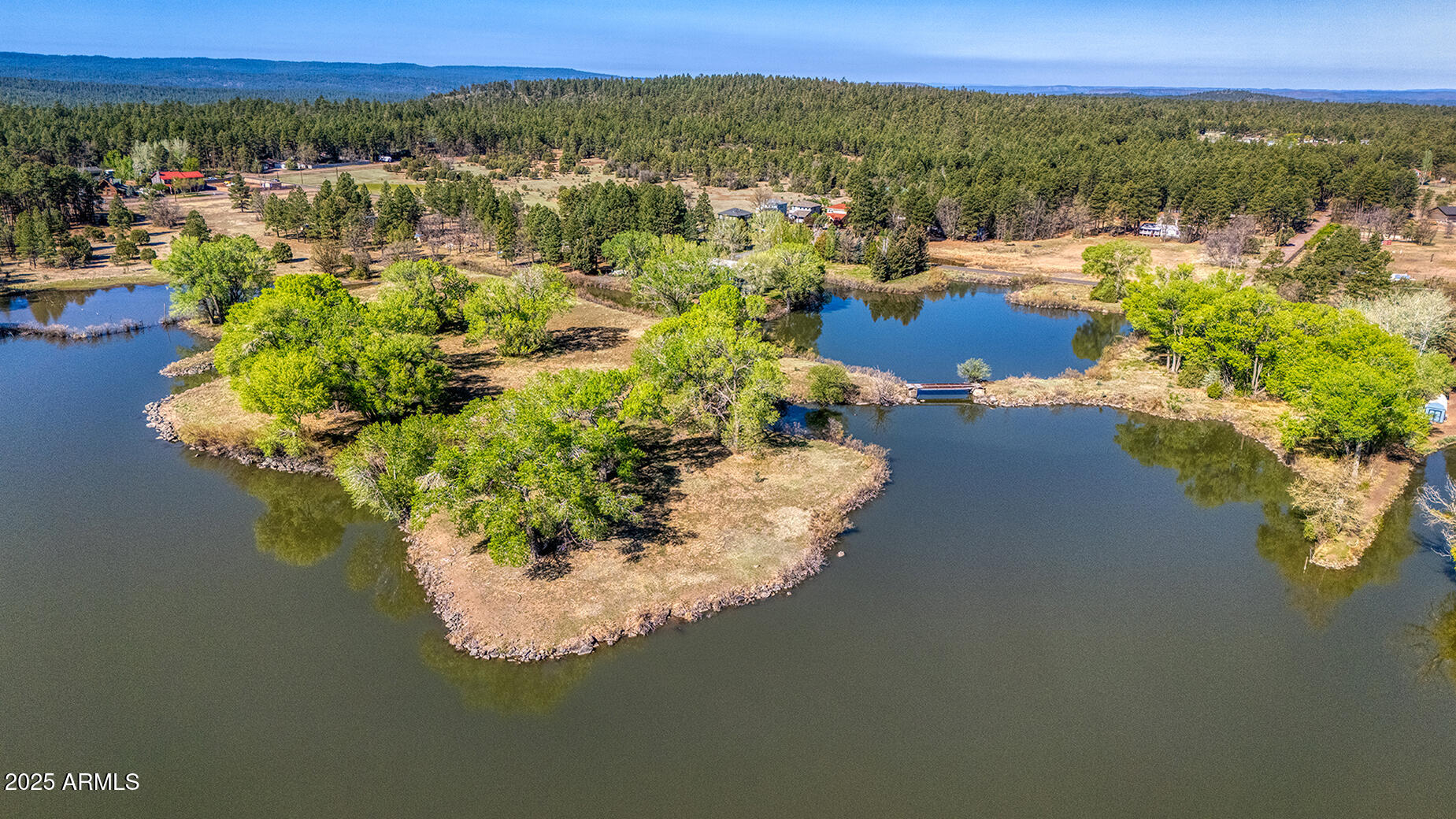 Pinetop-lakeside Larson Road Lakeside, AZ 85929 - Photo 3 of 45 a view of a lake with a mountain in the background