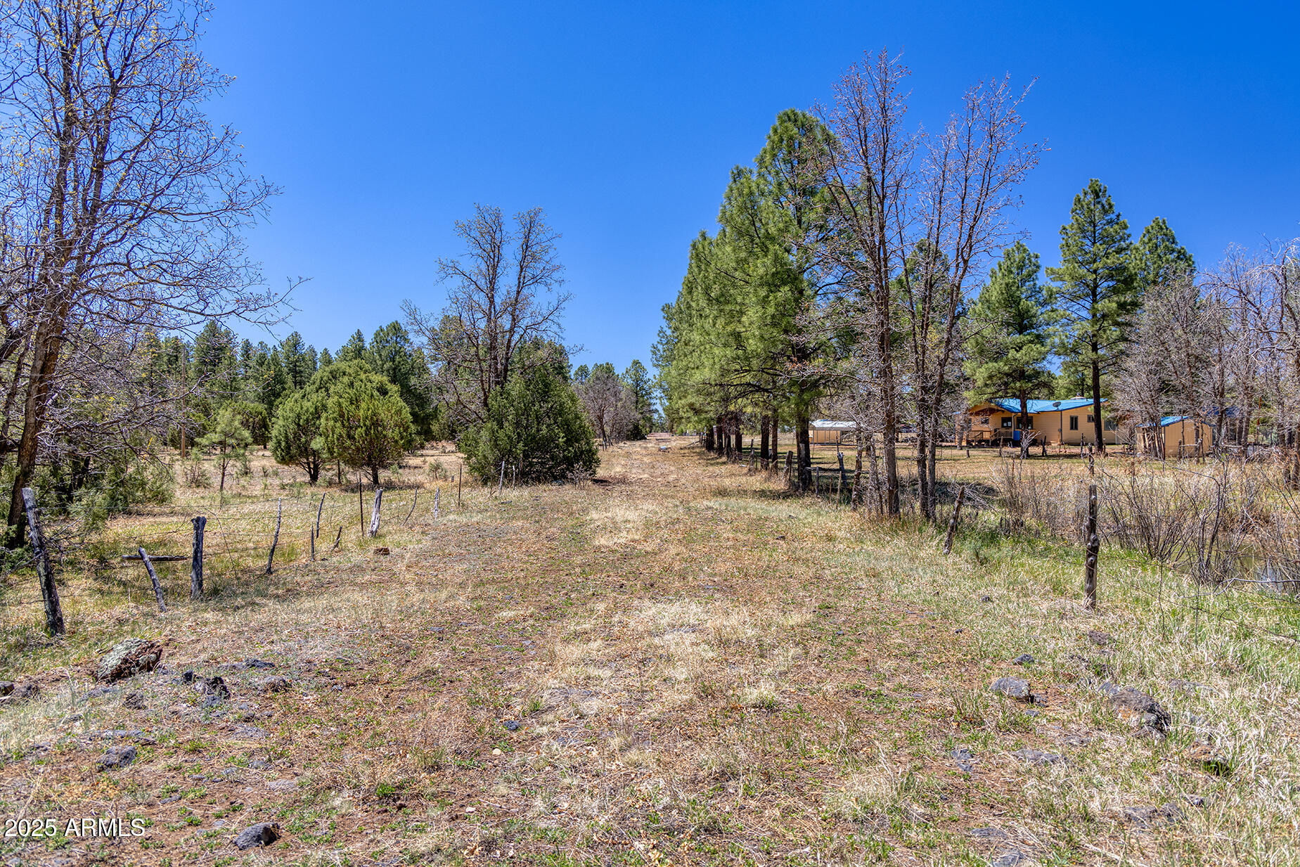Pinetop-lakeside Larson Road Lakeside, AZ 85929 - Photo 4 of 45 a backyard of a house with lots of green space