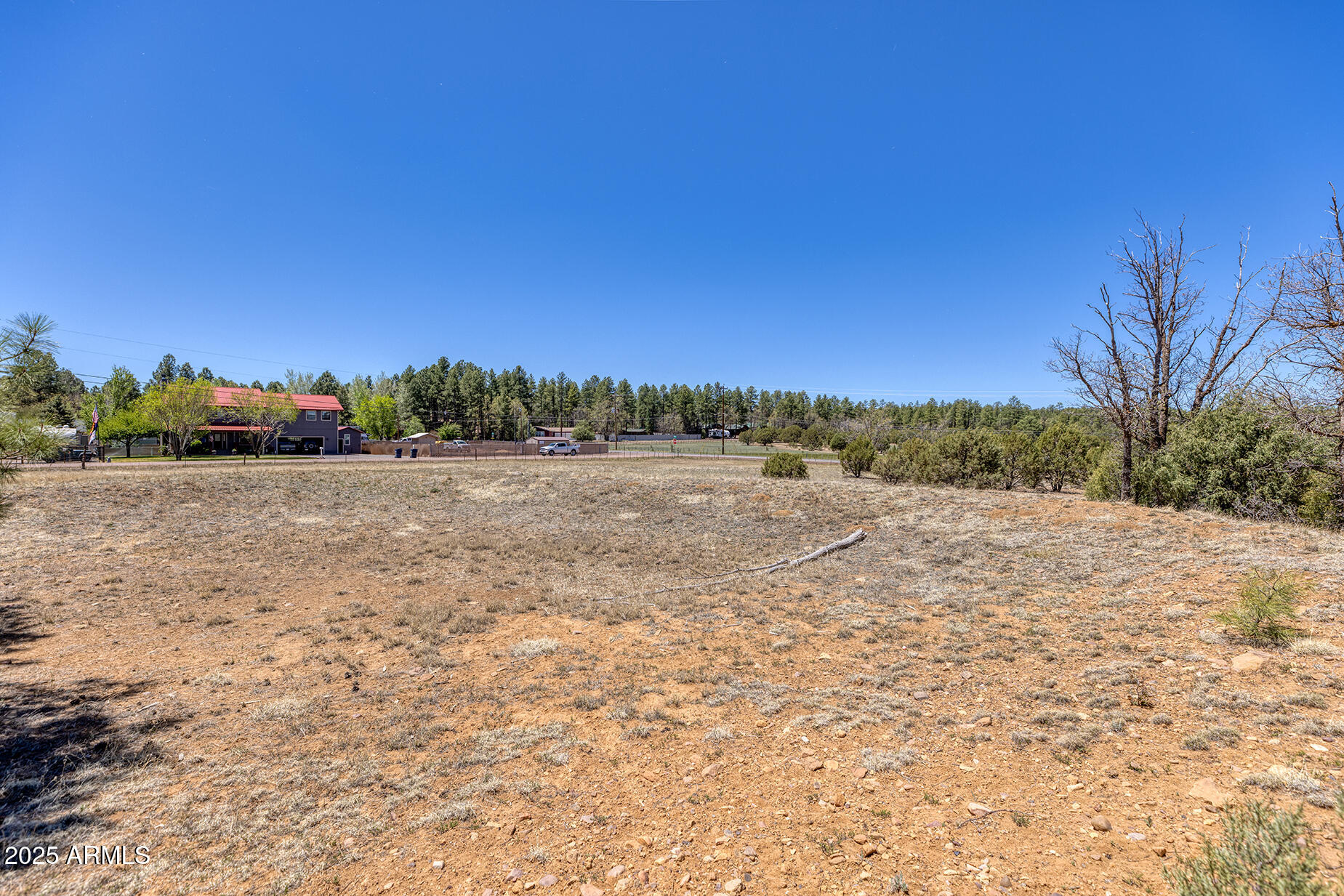 Pinetop-lakeside Larson Road Lakeside, AZ 85929 - Photo 41 of 45 a view of dirt field with trees in background
