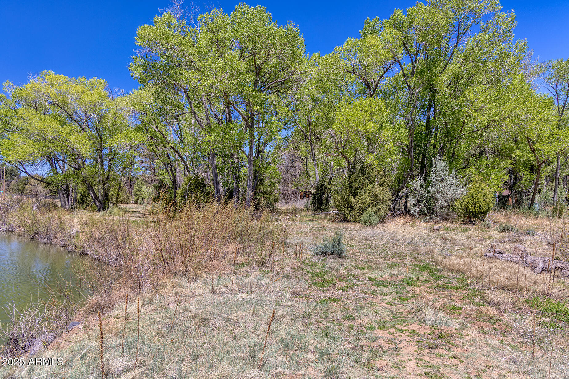 Pinetop-lakeside Larson Road Lakeside, AZ 85929 - Photo 42 of 45 a view of a yard