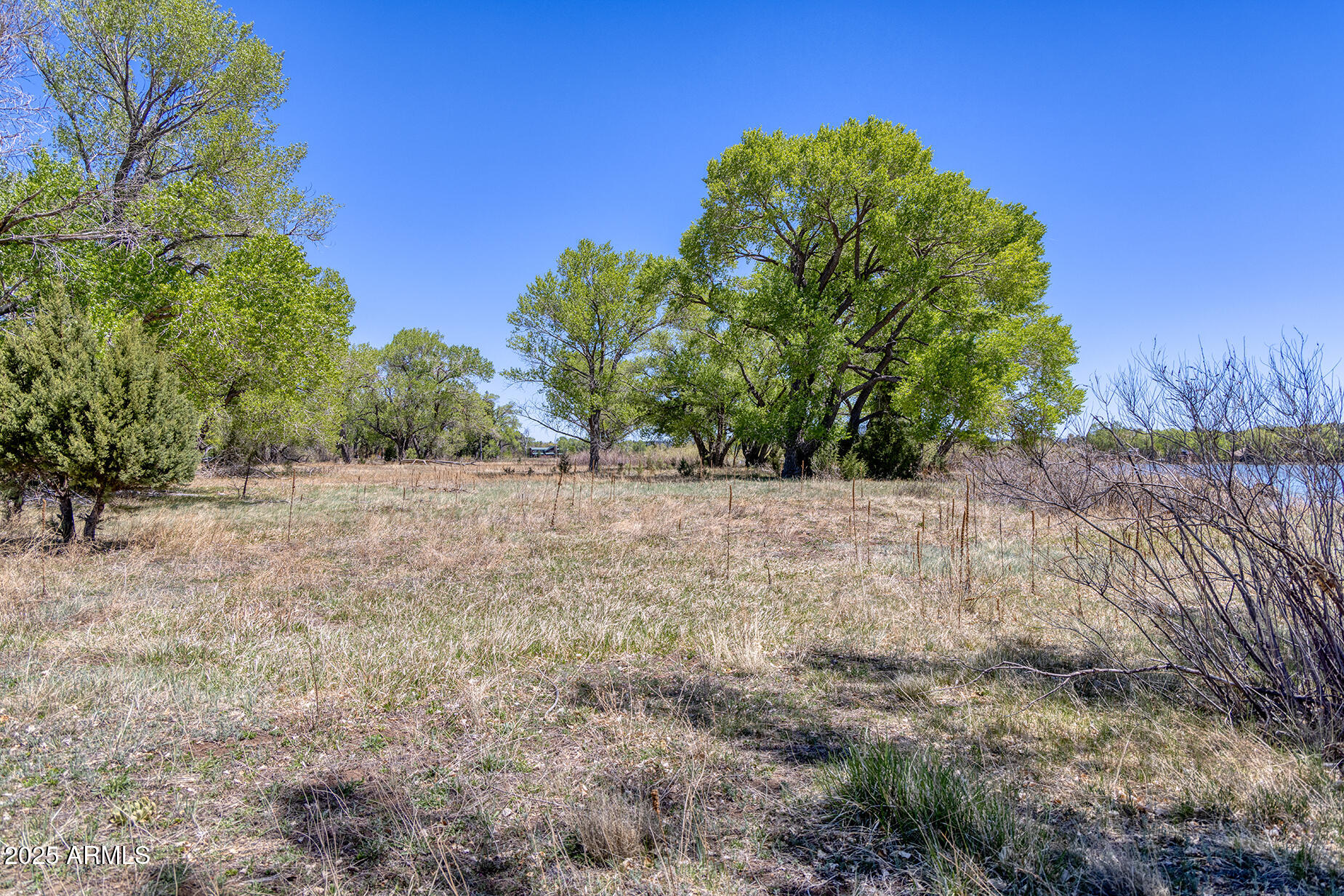Pinetop-lakeside Larson Road Lakeside, AZ 85929 - Photo 5 of 45 a backyard of a house with lots of green space