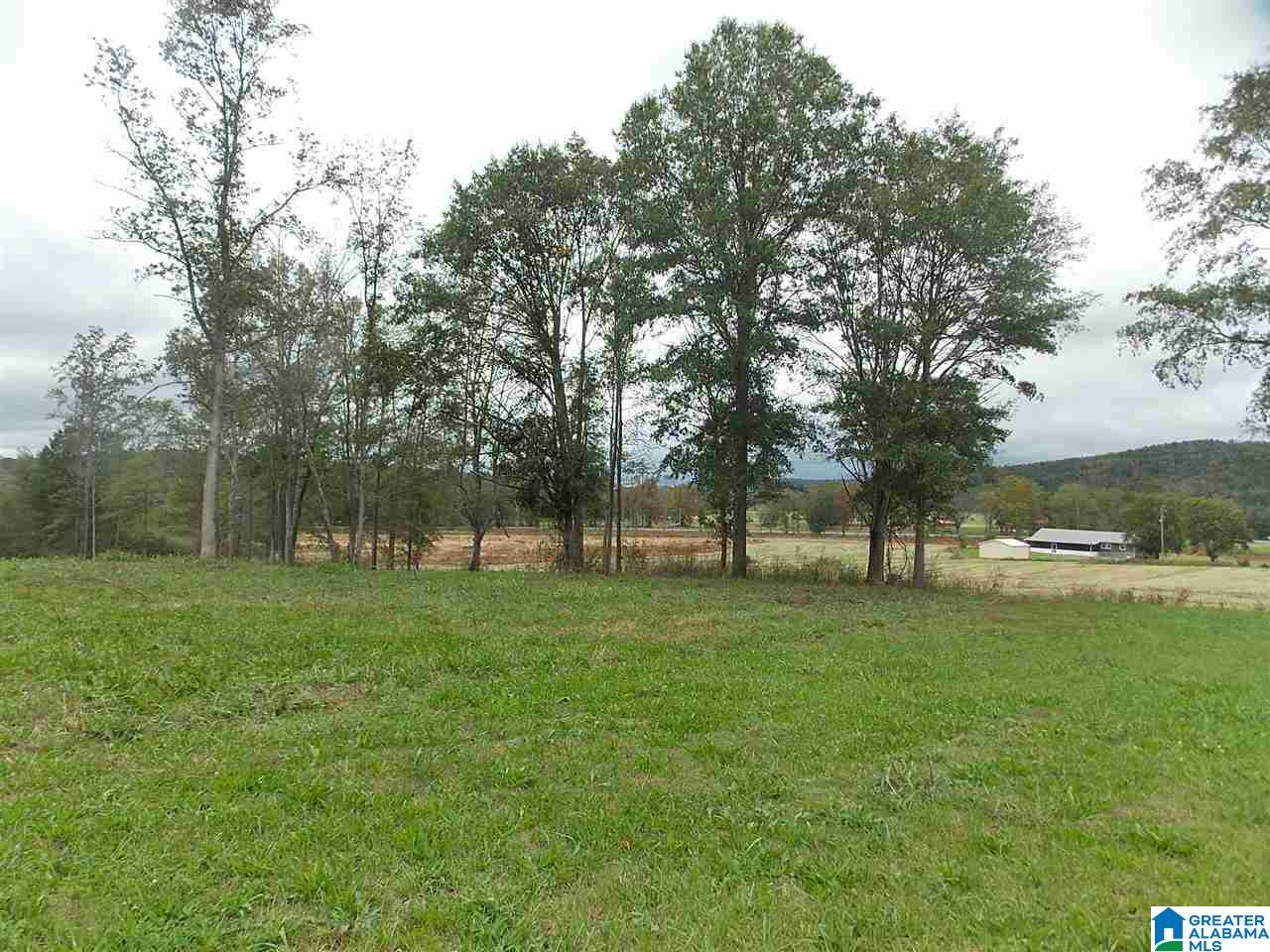 44 Sage Road Altoona, AL 35952 - Photo 19 of 29