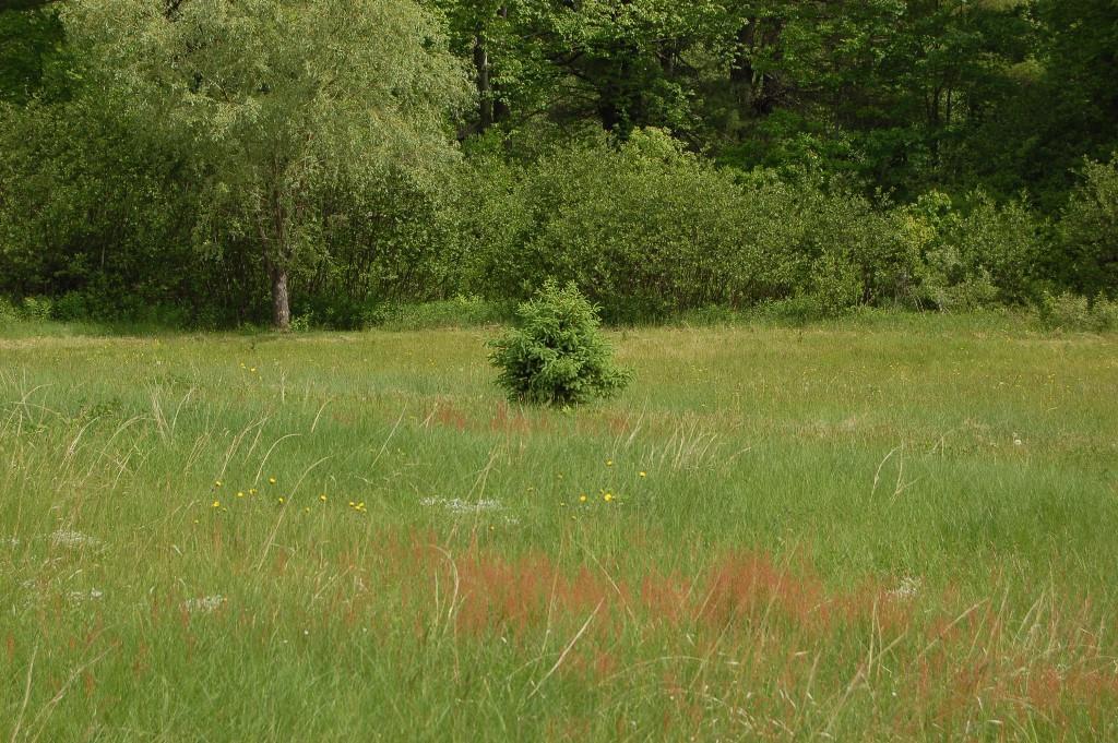 920 Empire Road Poland, ME 04274 - Photo 7 of 30 Photo