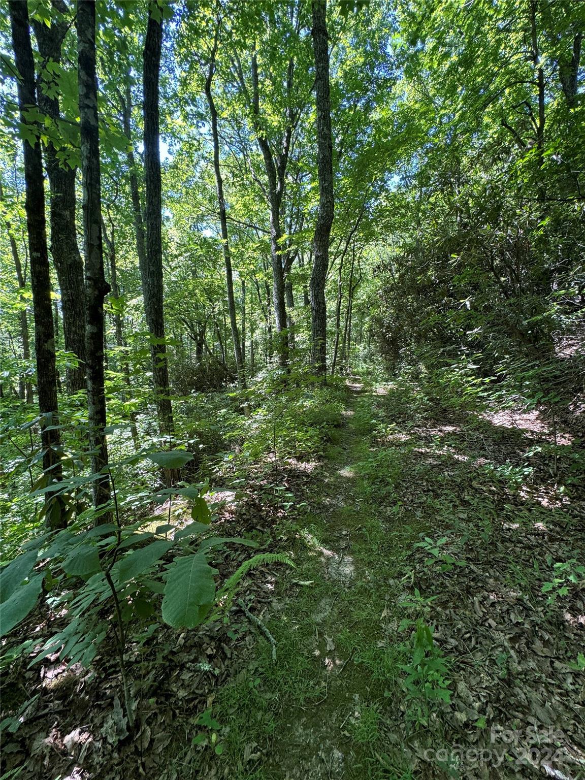 0 Rugged Top Road Hendersonville, NC 28792 - Photo 1 of 3 a view of outdoor space and trees