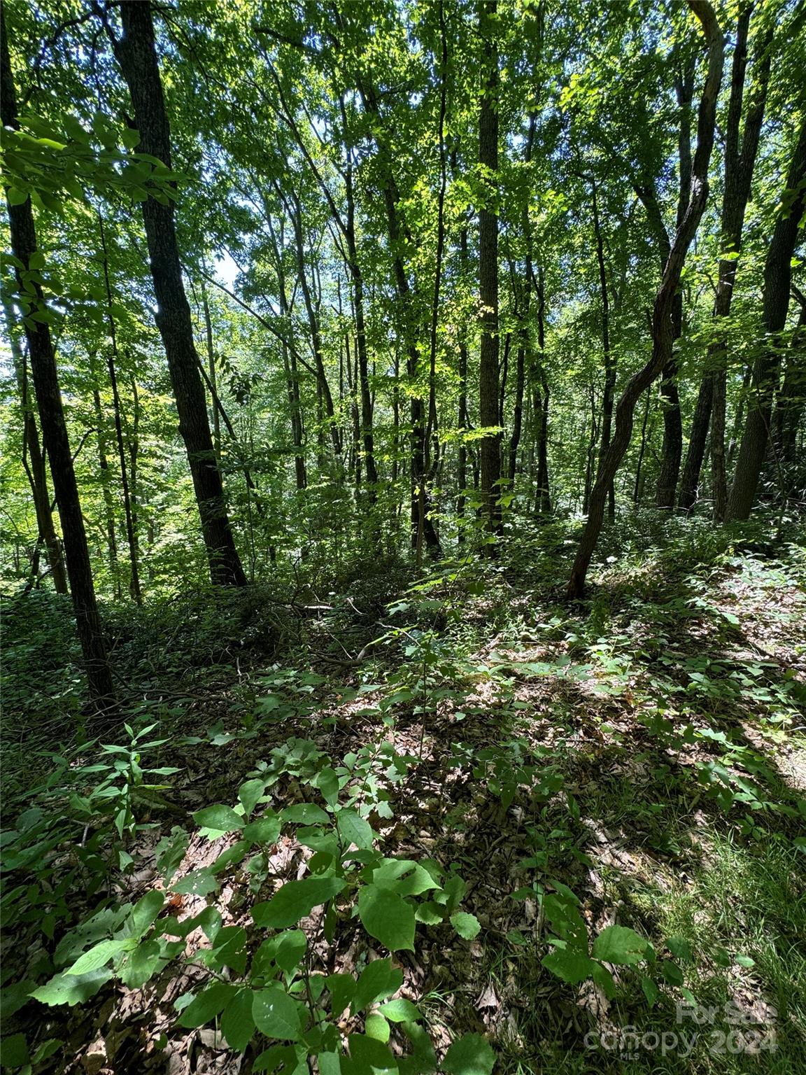 0 Rugged Top Road Hendersonville, NC 28792 - Photo 2 of 3 a view of outdoor space and green space