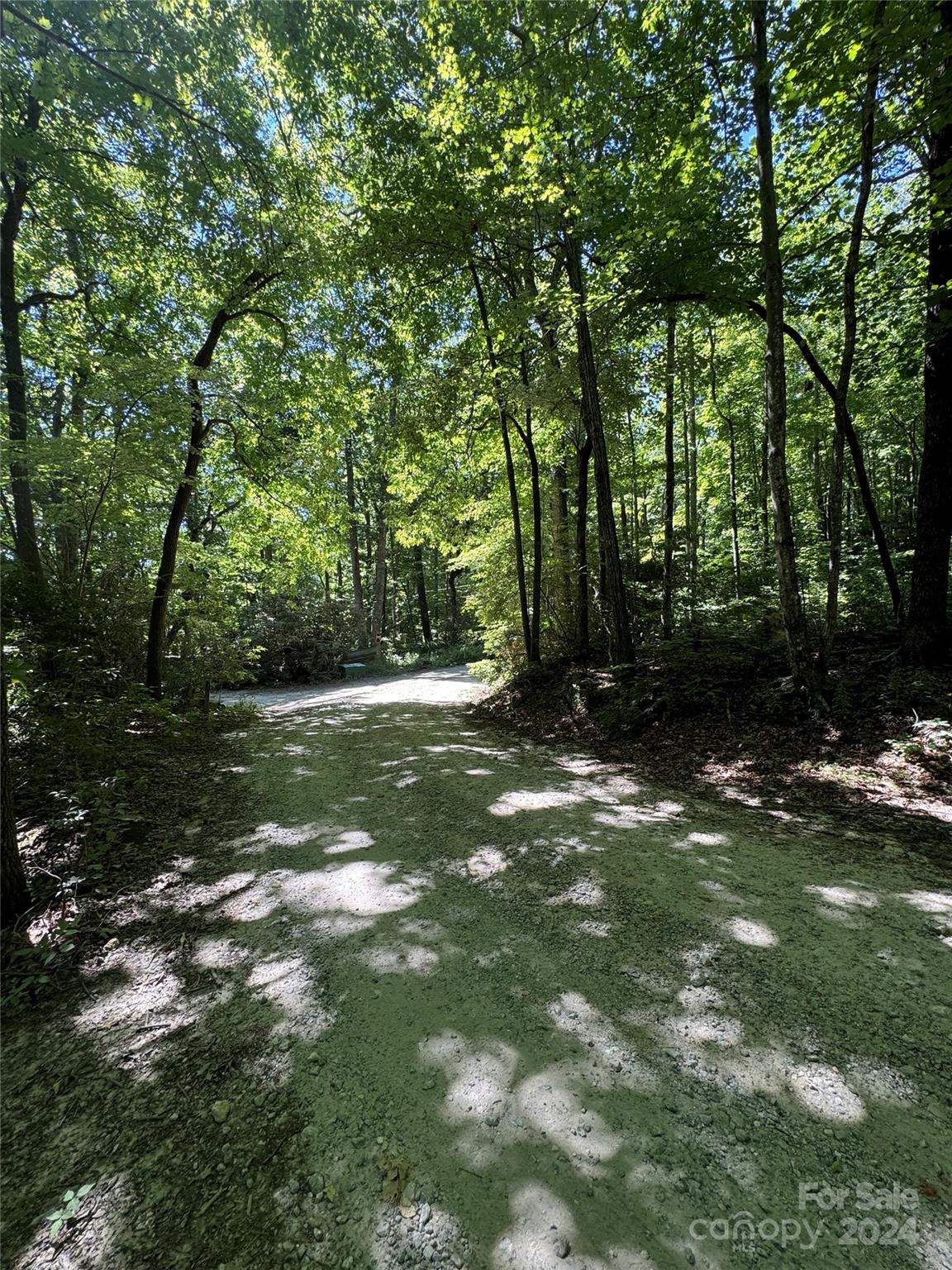 0 Rugged Top Road Hendersonville, NC 28792 - Photo 3 of 3 a backyard of a house with lots of green space