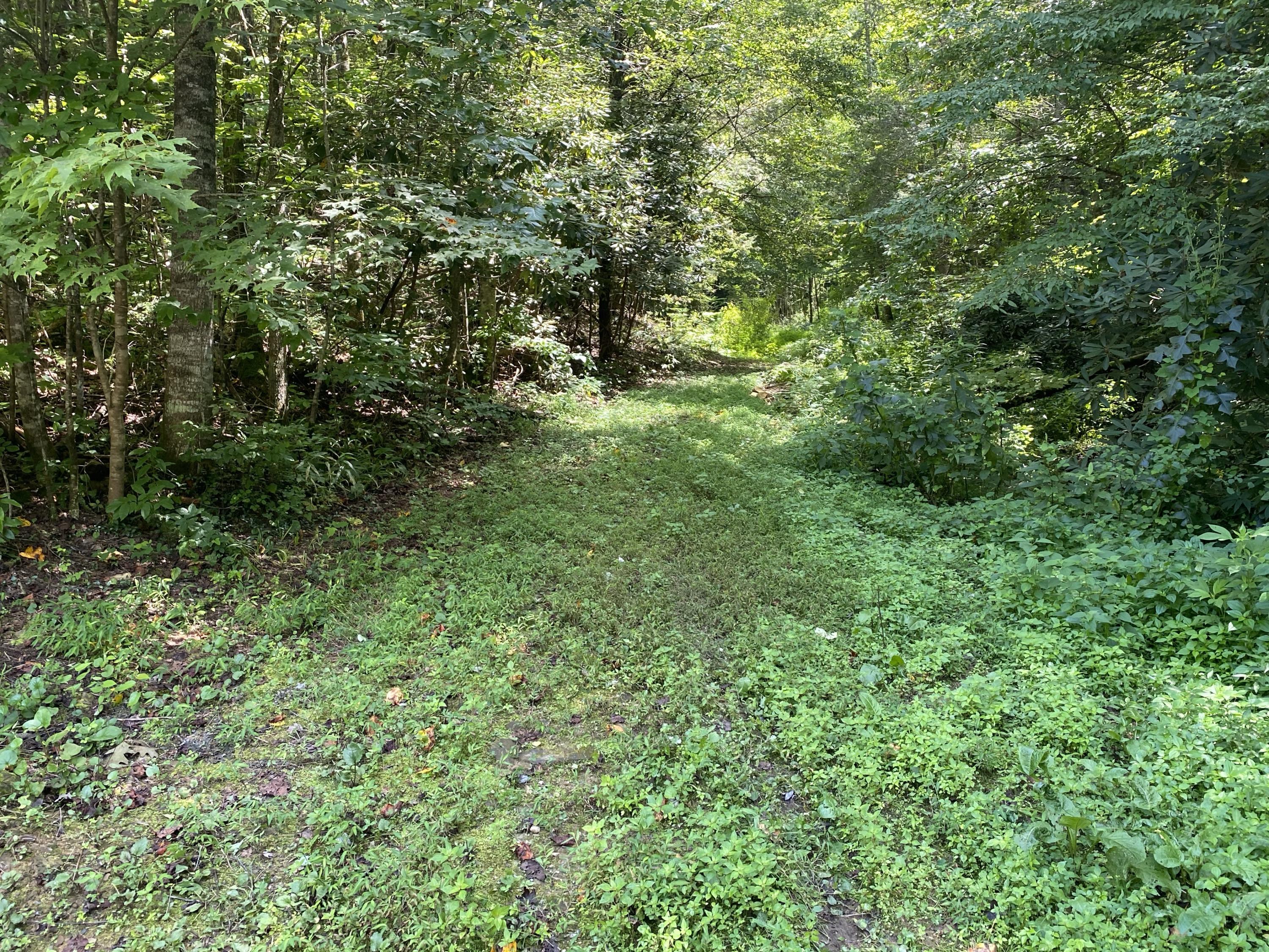 0 Punkton Road, Unit 9 Del Rio, TN 37727 - Photo 1 of 6 2