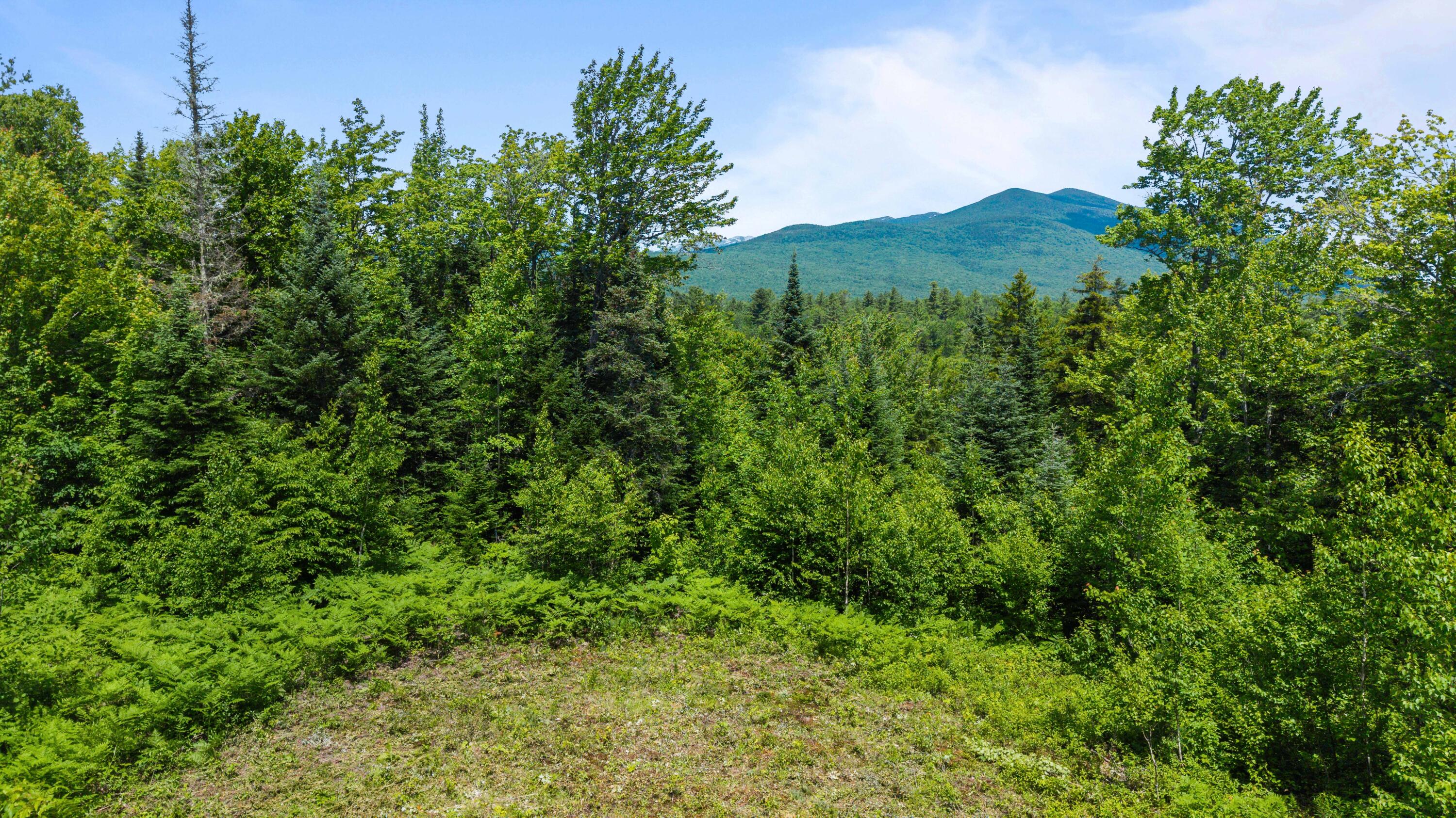 67 Callahan Road Strong, ME 04983 - Photo 23 of 25 23 View From Clearing