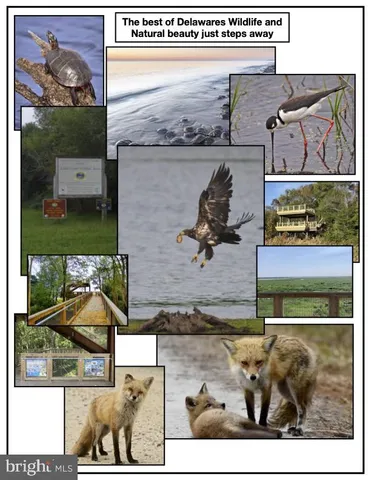 $29,000 | 62 10th Street, Dover, DE 19901