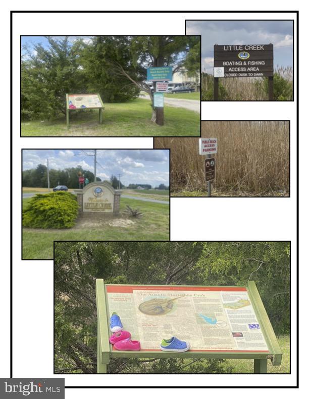 62 10th Street Dover, DE 19901 - Photo 8 of 8