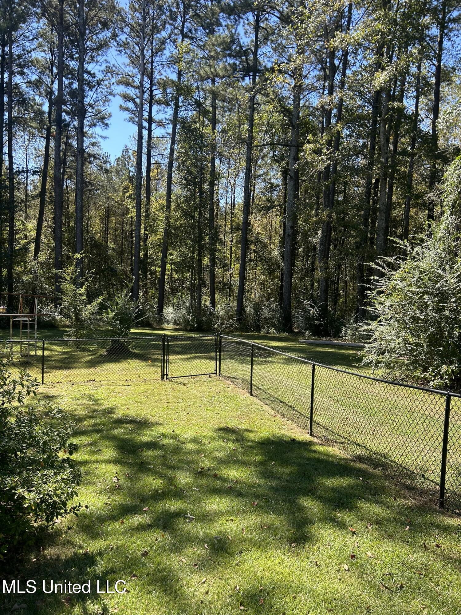 995 Decatur-Conehatta Road Conehatta, MS 39057 - Photo 20 of 28 IMG_6420