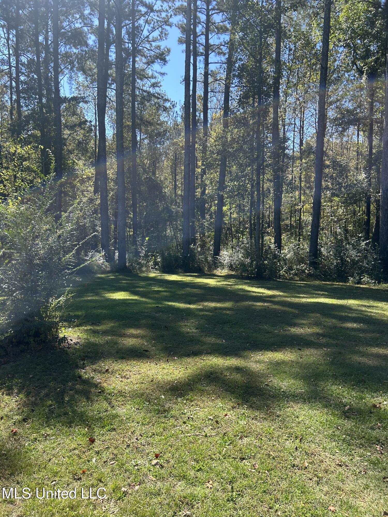 995 Decatur-Conehatta Road Conehatta, MS 39057 - Photo 22 of 28 IMG_6423