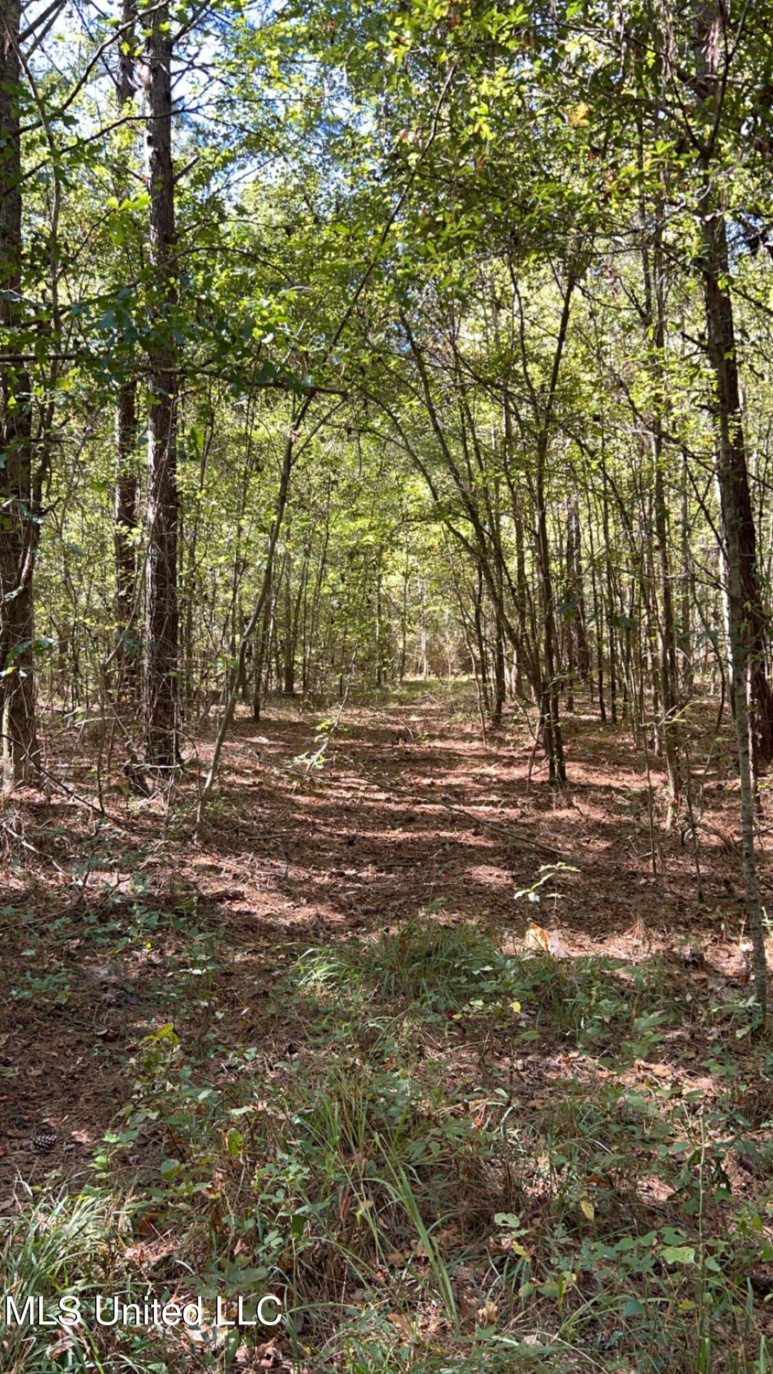 995 Decatur-Conehatta Road Conehatta, MS 39057 - Photo 26 of 28 IMG_6432