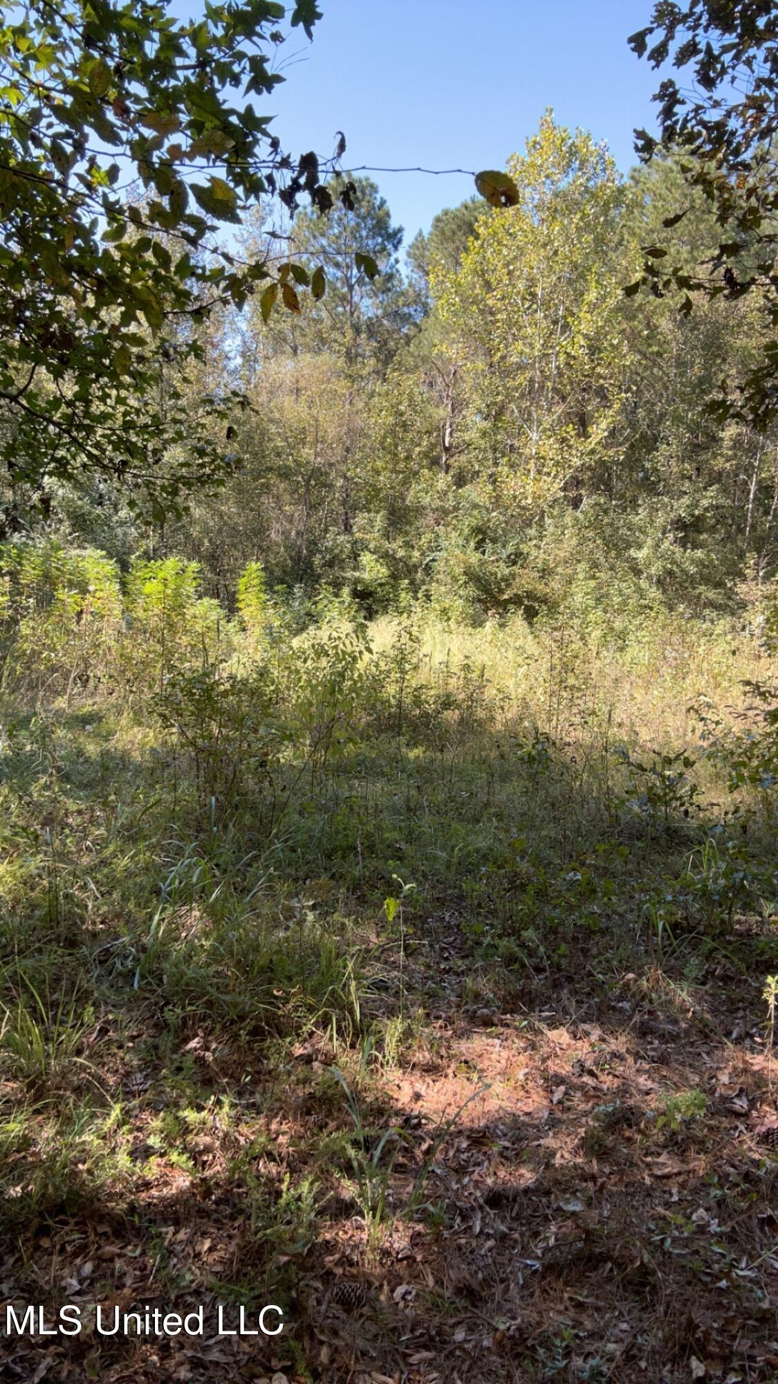 995 Decatur-Conehatta Road Conehatta, MS 39057 - Photo 27 of 28 IMG_6437