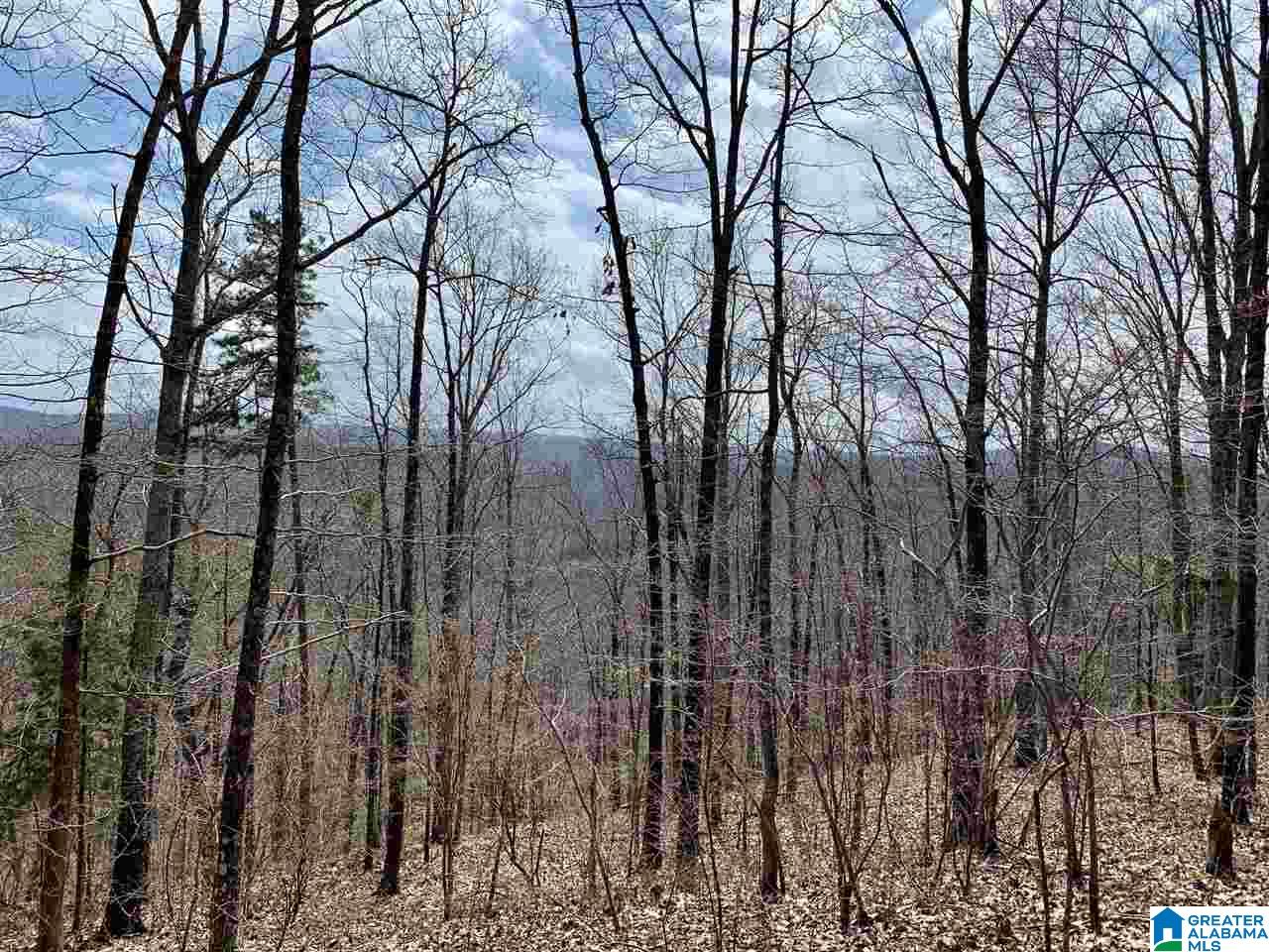 8791 Pine Mountain Road, Unit 40 Pinson, AL 35126 - Photo 1 of 3