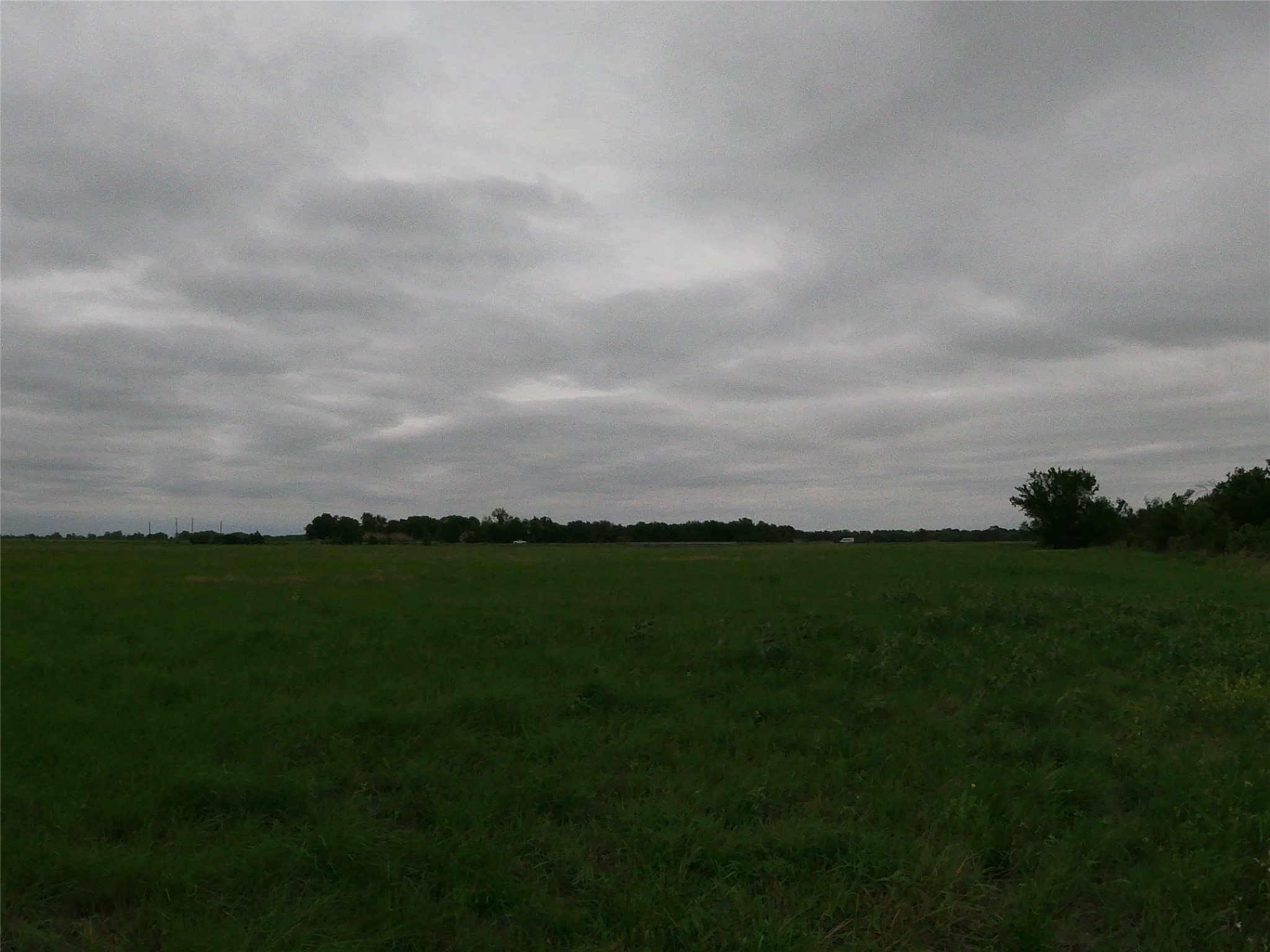 0 Fm 112 Road Thrall, TX 76578 - Photo 11 of 38