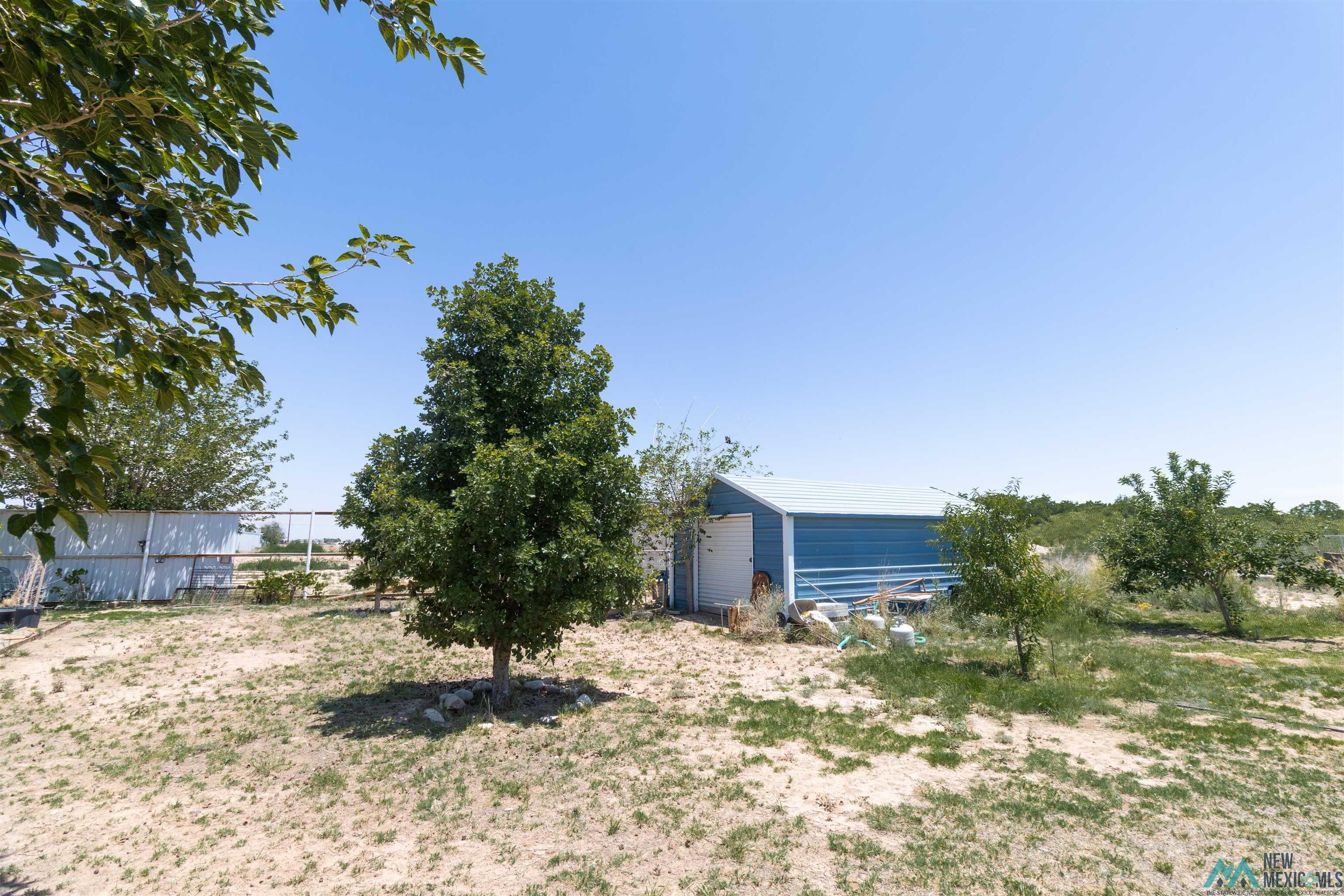 1509 Papershell Road Carlsbad, NM 88220 - Photo 41 of 47 Yard