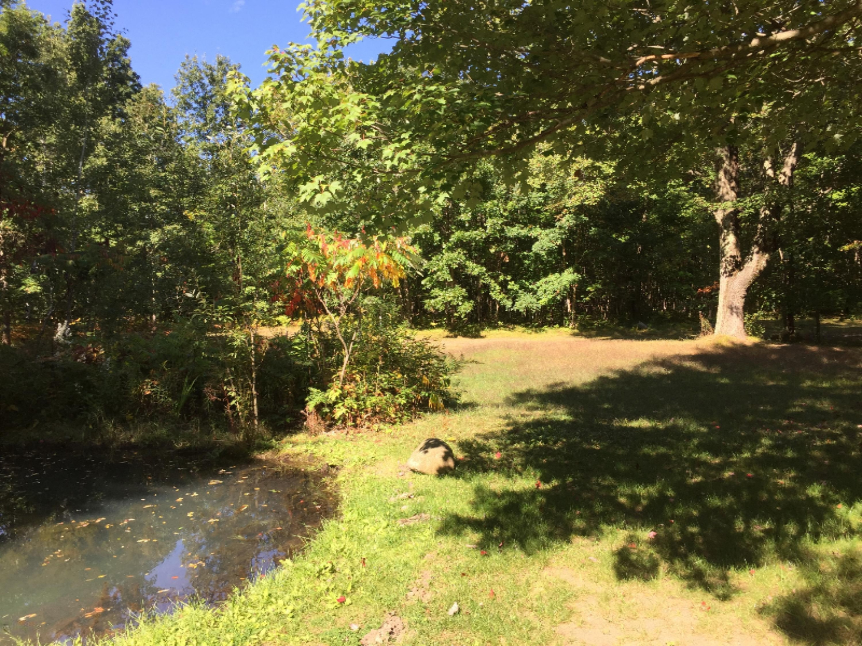 7040 North High Bridge Road Kaleva, MI 49645 - Photo 19 of 50 Pond and Wooded Back Acreage