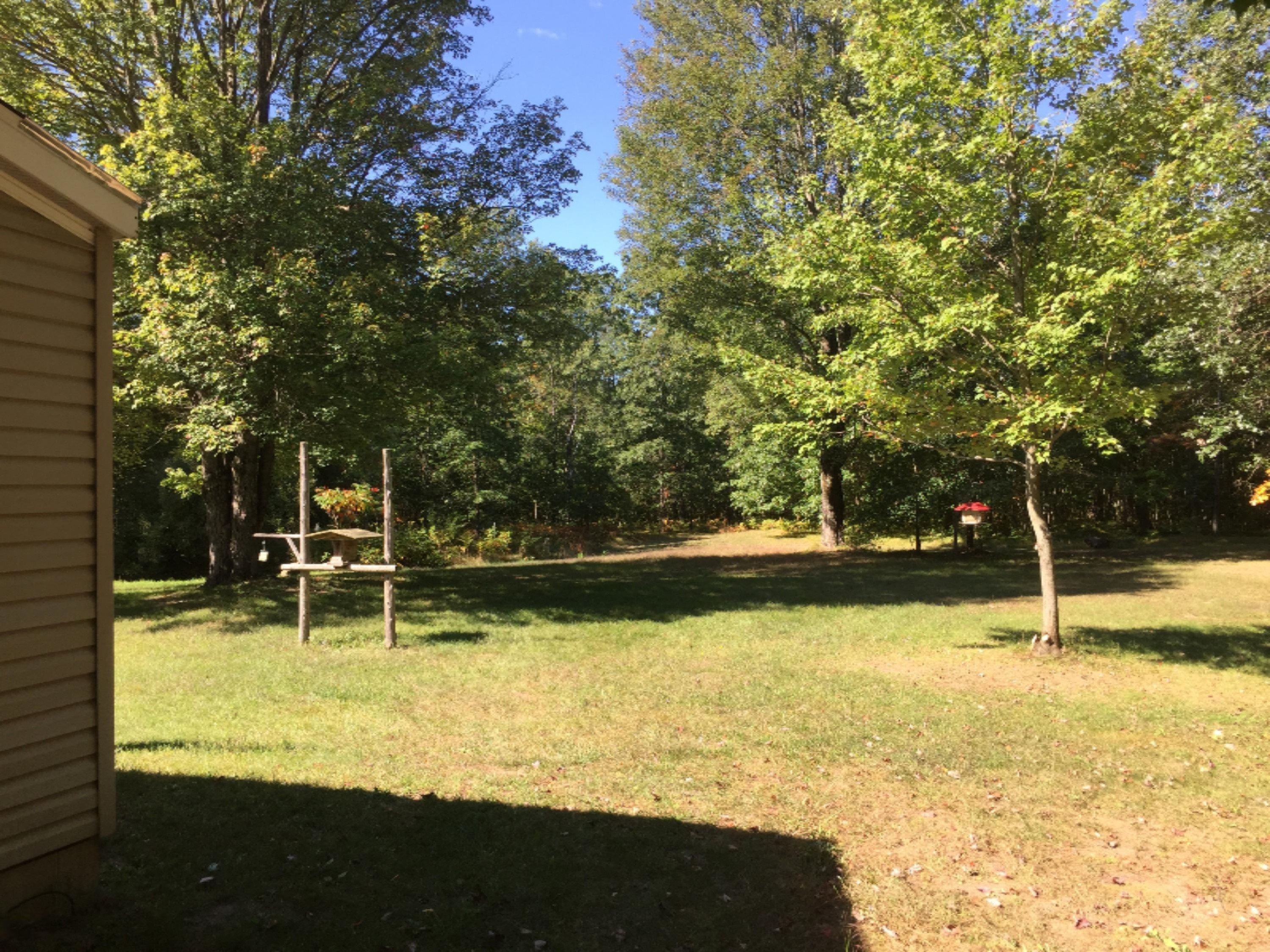 7040 North High Bridge Road Kaleva, MI 49645 - Photo 20 of 50 Park-like