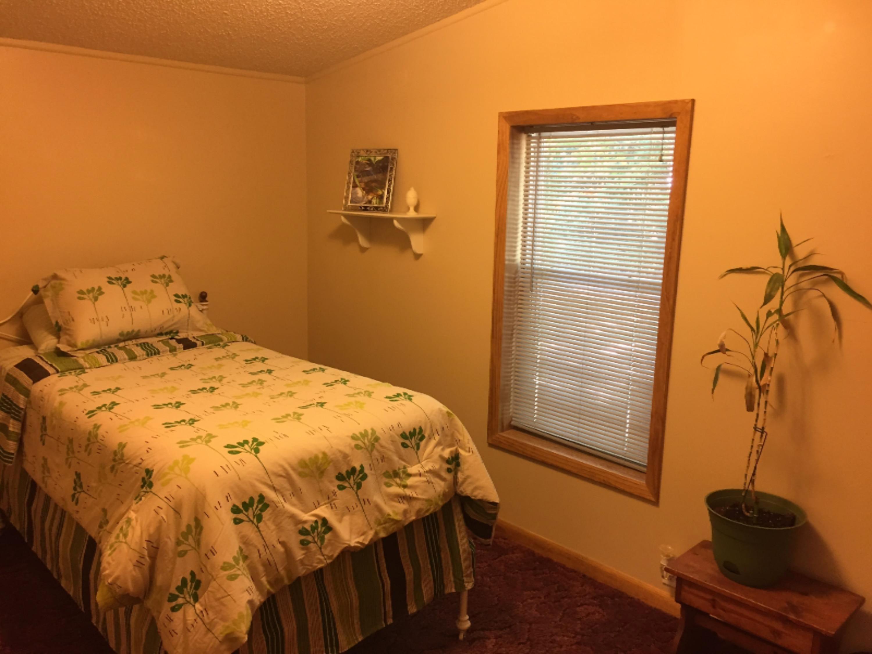 7040 North High Bridge Road Kaleva, MI 49645 - Photo 43 of 50 Second Bedroom