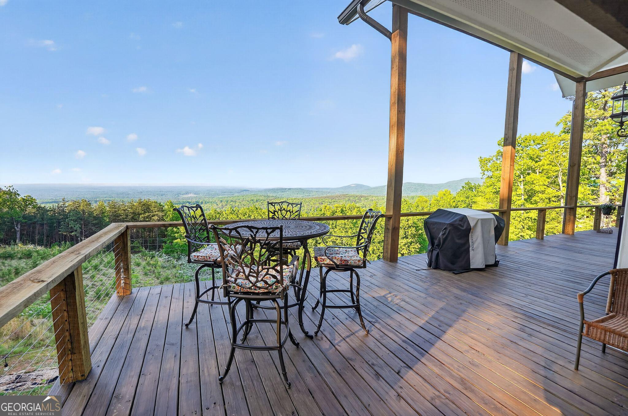 945 Hickory Nut Mountain Road Tallulah Falls, GA 30573 - Photo 26 of 54