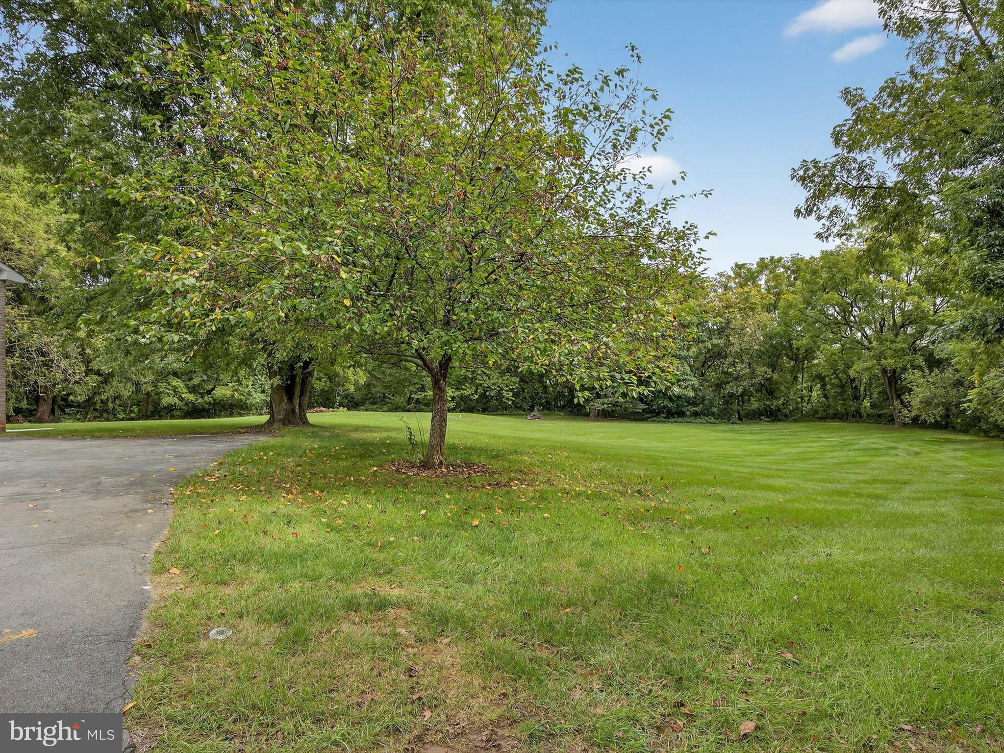 2010 Landis Valley Road Lancaster, PA 17601 - Photo 50 of 76 a view of a trees with a park