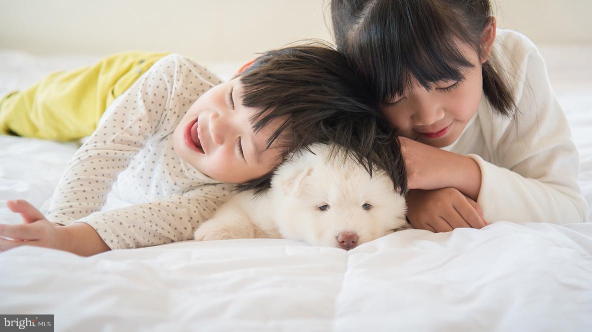 7 Lilac Circle Mount Laurel, NJ 08054 - Photo 21 of 36