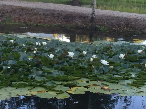 $218,999 | Undisclosed Address, Cascade, ID 83611