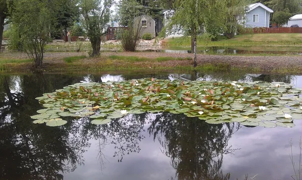 $218,999 | Undisclosed Address, Cascade, ID 83611