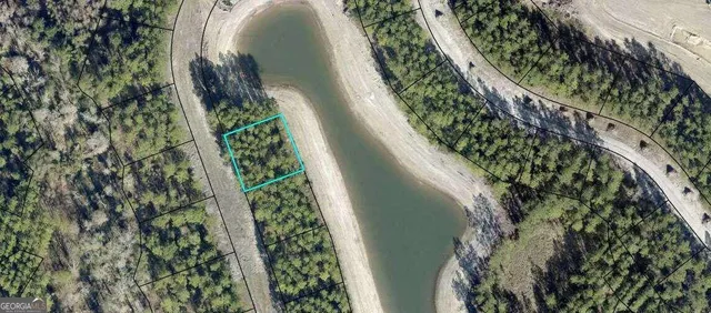 a close up of a plant in a garden