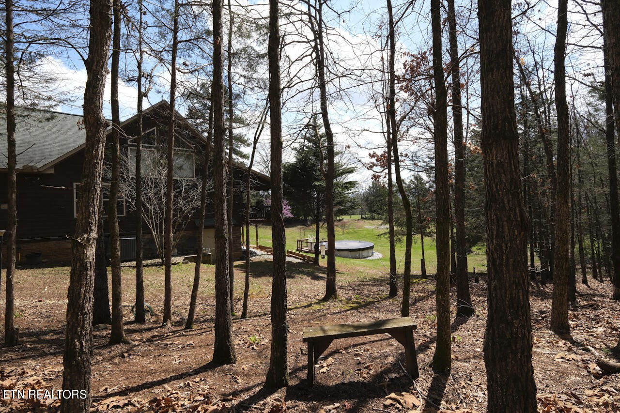 1077 Whitaker Road New Market, TN 37820 - Photo 41 of 46
