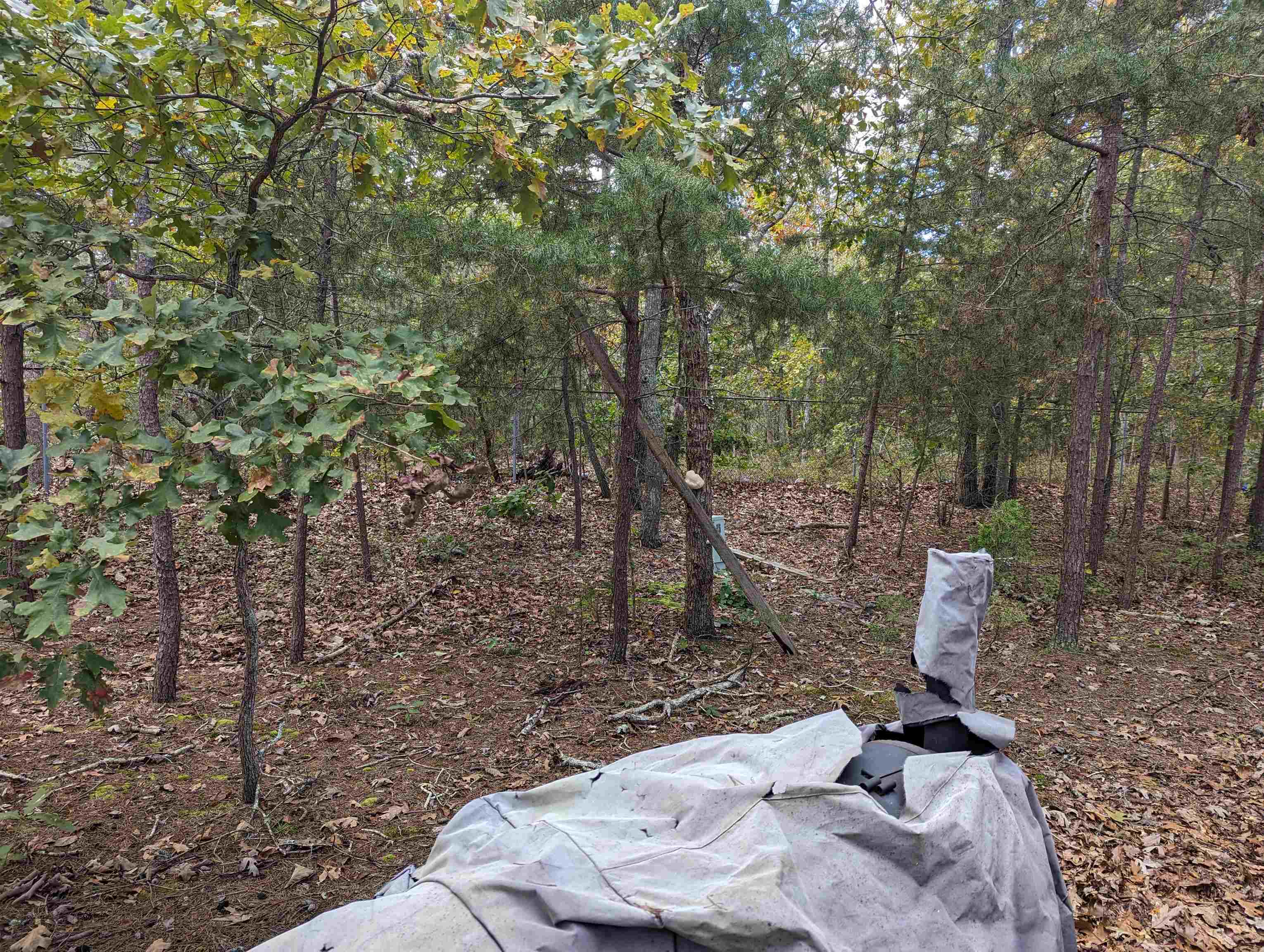 561 Corsons Tavern Road, Unit L2 Ocean View, NJ 08230 - Photo 21 of 32