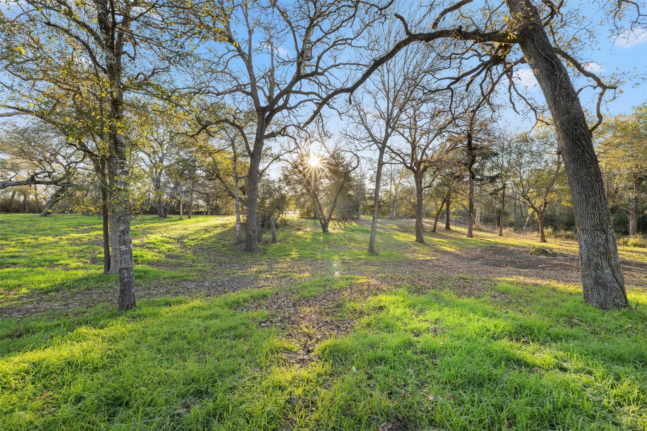 1038 County Road 207 Weimar, TX 78962 - Photo 1 of 24