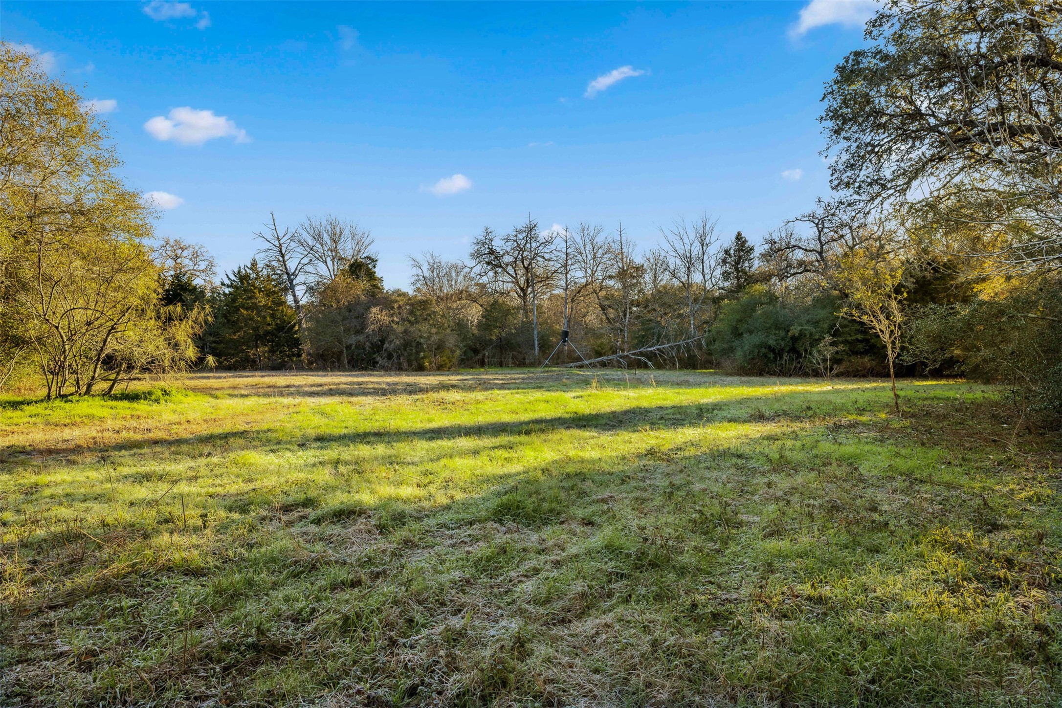 1038 County Road 207 Weimar, TX 78962 - Photo 11 of 24