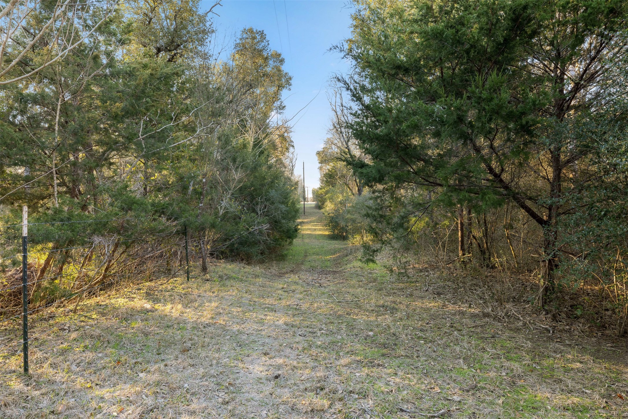 1038 County Road 207 Weimar, TX 78962 - Photo 5 of 24