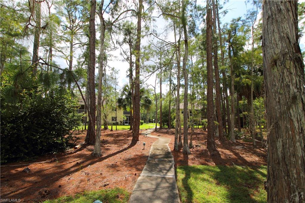 3471 County Barn Road, Unit F103 Naples, FL 34112 - Photo 18 of 27 a view of a park with large trees
